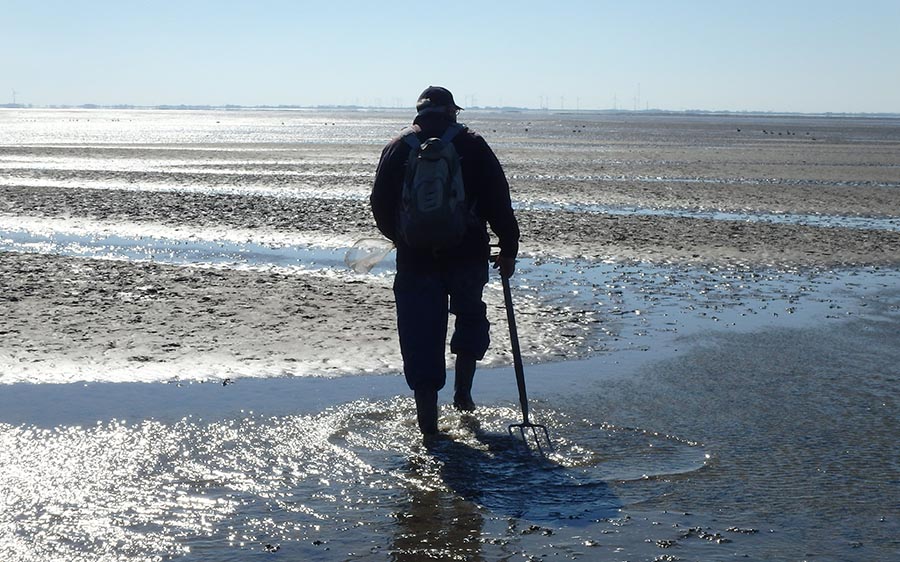 Nationalpark Niedersächsisches Wattenmeer